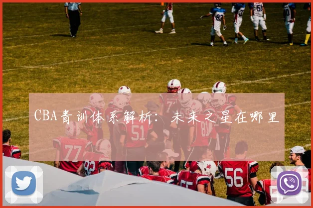 CBA青训体系解析：未来之星在哪里