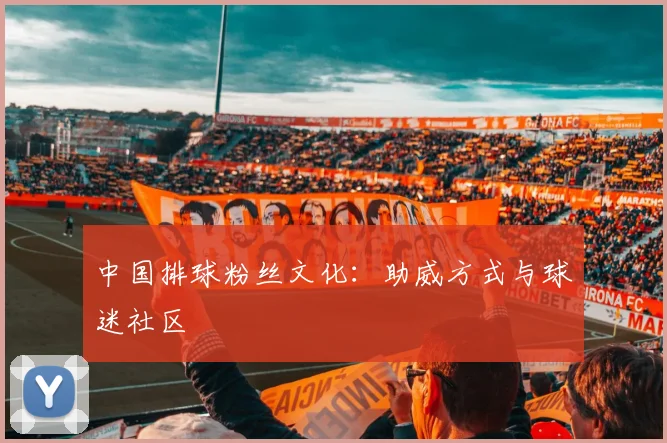 中国排球粉丝文化:助威方式与球迷社区